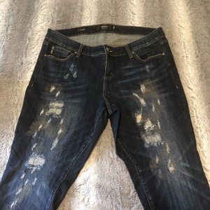 Torrid Jeans